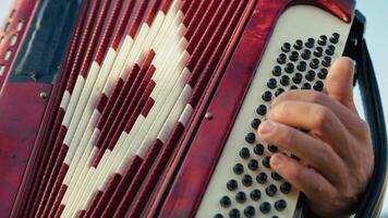 Hand Of A Professional Accordion Player video