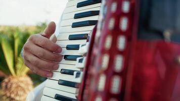 White Tiles Of The Keyboard Of The Accordion video