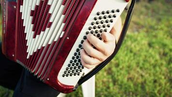 Hands Of A Professional Player On The Accordion Buttons video