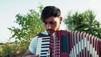 Enchanted Grove Resonating with Accordion Tunes video