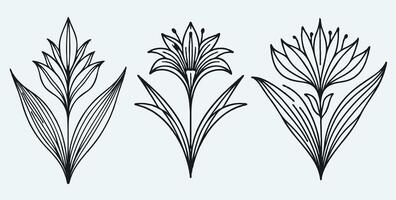 Three different types of flowers in black and white vector