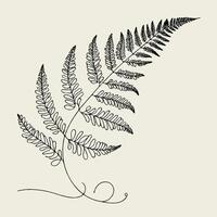 A black and white drawing of a fern leaf vector