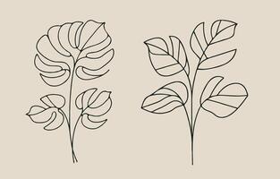 Two plants with leaves in a line drawing vector