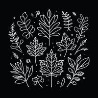 Autumn leaves illustration vector