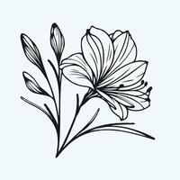 A black and white drawing of a flower, floral line vector