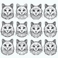 A set of different cat faces vector
