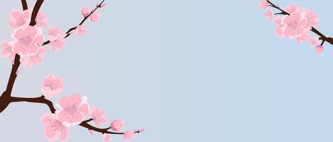 Background with sakura branches. Delicate sakura on a pink and blue background. vector