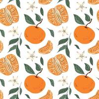 Seamless pattern with tangerines and green leaves on white background. Whole tangerines, slices, flowers, leaves. For packaging paper, textiles, packaging, cosmetics vector