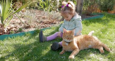 Child girl sitting on lawn and playing with ginger cat video