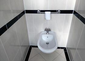 Modern Bathroom Amenities Featuring Wall-Mounted Bidet with Elegant Tile Design photo