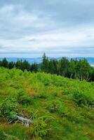 Idyllic View of Lush Green Forest and Rolling Hills Under Cloudy Skies photo