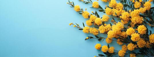 Vibrant yellow mimosa flowers arranged on a soft blue background showcasing their natural beauty and delicate photo