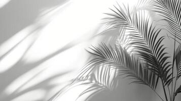 Shadows of palm leaves create a serene atmosphere in a minimalist space during daylight hours photo