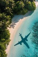 Shadow of an airplane gliding over a tranquil beach with lush palm trees and clear turquoise water under the photo