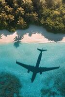 Shadow of an airplane gliding over a tranquil beach with lush palm trees and clear turquoise water under the photo