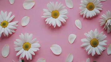 Delicate white petals scattered on a soft pink background, creating a serene and calming aesthetic ideal for photo