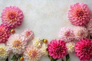 Beautiful bouquet of pink and white dahlias arranged in an artistic pattern on a light background showcasing photo