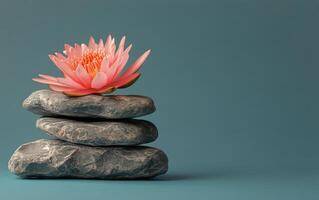 Tranquil lotus flower resting atop smooth stones in a serene setting reflecting calm and harmony in a minimalist photo