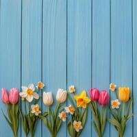 Colorful spring flowers arranged on a blue wooden surface showcasing various blooms with vibrant petals and photo