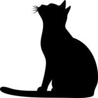 Black cat silhouette isolated on a white background. vector