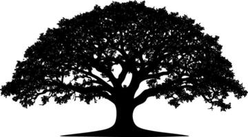 Silhouette of a large oak tree with detailed branches and leaves. vector
