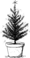 Illustration of a potted Christmas tree in a sketch style. vector