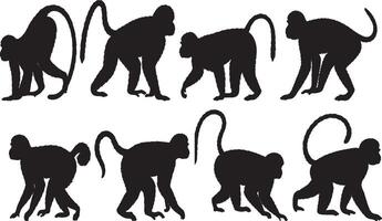 Monkey silhouettes on white vector