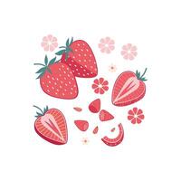 Strawberries and flowers are shown in this illustration vector