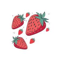 Strawberries are falling down on a white background vector