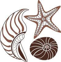 Sea shells and starfish vector
