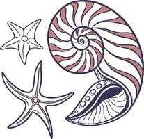 Sea shells and starfish illustration vector