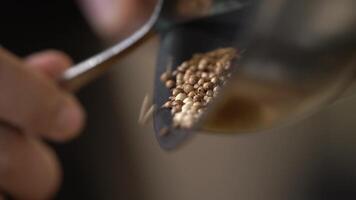 Spices, grains and herb seed are being roasted in pan on an electric stove by Asian man chef. video