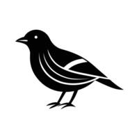Bird Shadow Featured on a Monochrome Background vector