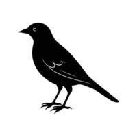 Silhouette of a Bird on a Black-and-White Background vector