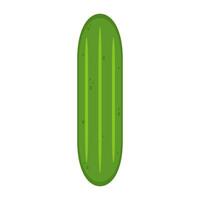 Cucumber . Cucumber on white background. vector