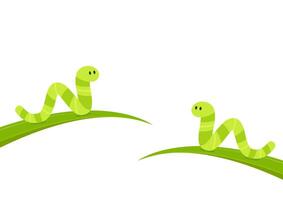 Green worm . Worm cartoon . free space for text. Green worm on the leaf. vector