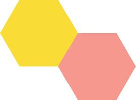 Two Hexagons Colorful Combined Blocks vector