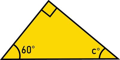 Right Triangle Interior Angle Measurement vector