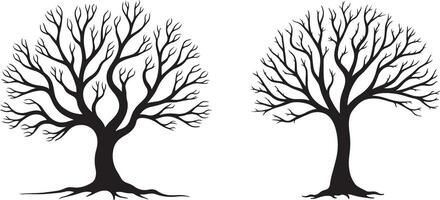 Sleek birch tree line art illustration with minimalist details vector