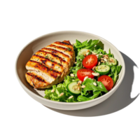 A plate with a chicken breast and salad png