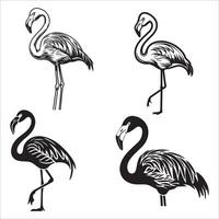 Pink Flamingo in Balanced Pose on One Leg vector