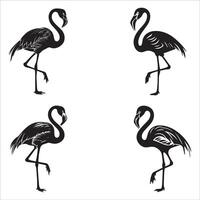 Pink Flamingo in Elegant Stance vector
