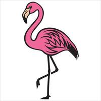 Graceful Pink Flamingo with One Leg Up vector