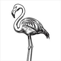 Elegant Flamingo Outline in Black vector