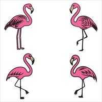 Vibrant Flamingo in Tropical Setting vector
