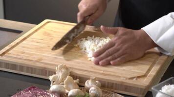 Cut mixed Onion, red Onion and Galic into small pieces and slice with a kitchen knife by professional chef. video