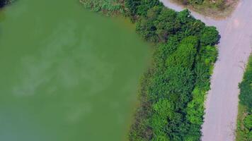 Organic Farming Paddy Rice Field from the Drone view, it flies over around the rice field area in the open sky day, Uthai Thani province, Thailand. video