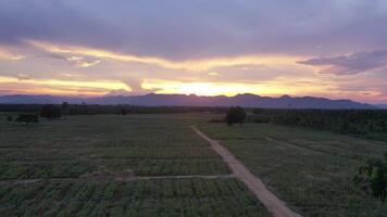 Senset moment view from drone behind the mountain in the golden light from the sun. video