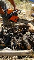 Mann Schneiden Holz mit Kettensäge Garten video
