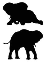 Silhouette of Elephants Walking Across the Horizon vector